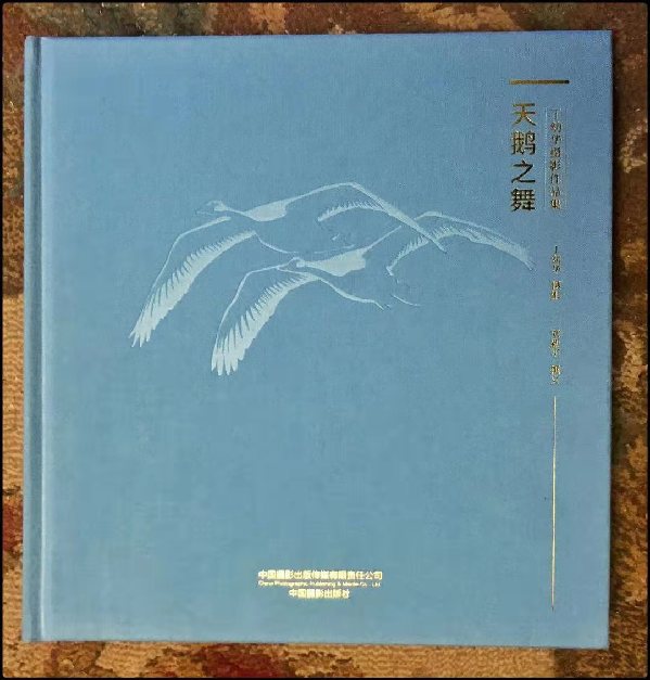 著名摄影家丁幼华摄影作品集《天鹅之舞》出版