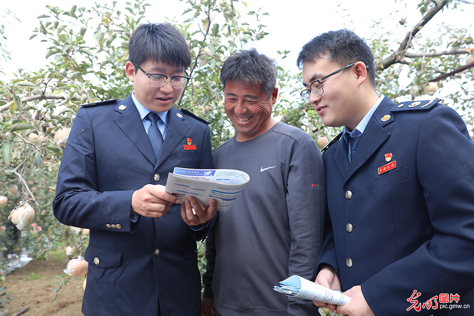 江苏徐州：税费服务助力苹果产业红红火火