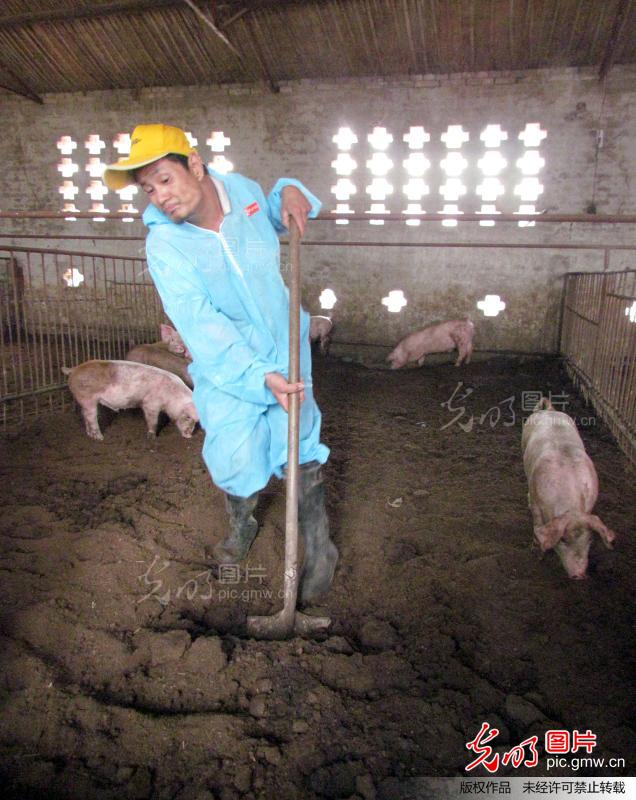 脑瘫“猪官”李福生