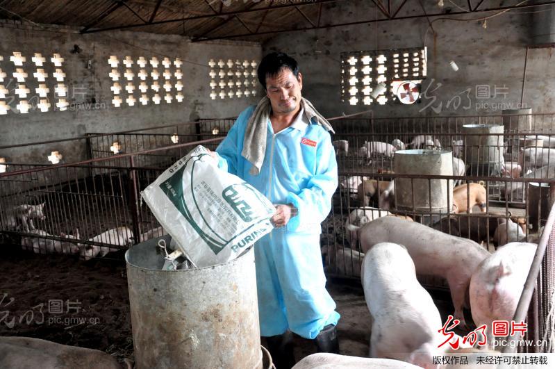 脑瘫“猪官”李福生